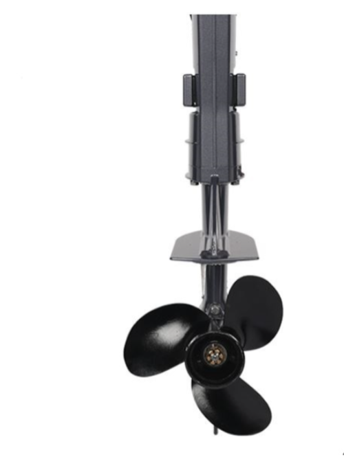 Лодочный мотор ALLFA CG F6 в Пскове