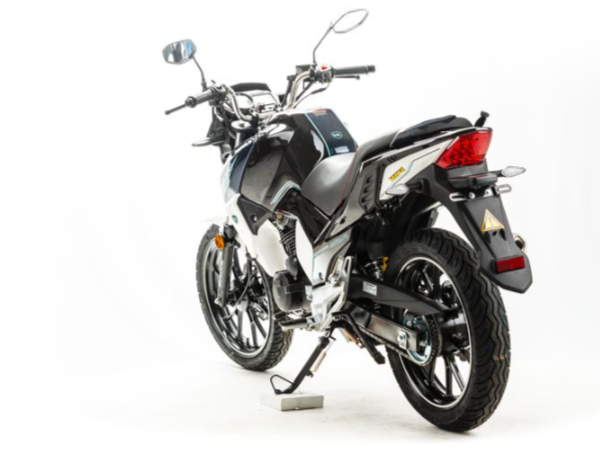 Мотоцикл MOTOLAND (МОТОЛЕНД) FIGHTER 250 в Пскове