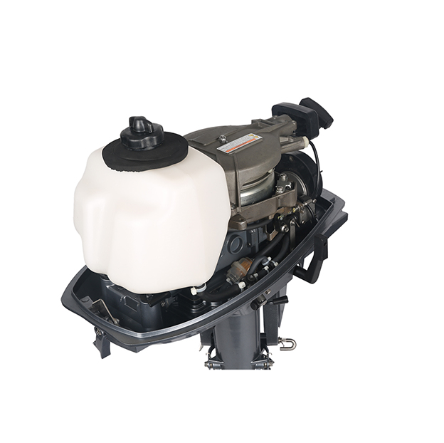 ЛОДОЧНЫЙ МОТОР ALLFA CG T5 в Пскове