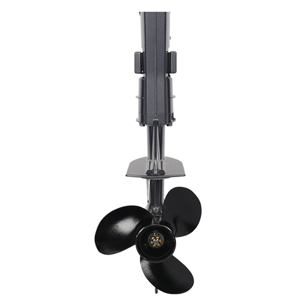 ЛОДОЧНЫЙ МОТОР ALLFA CG T9,8 в Пскове