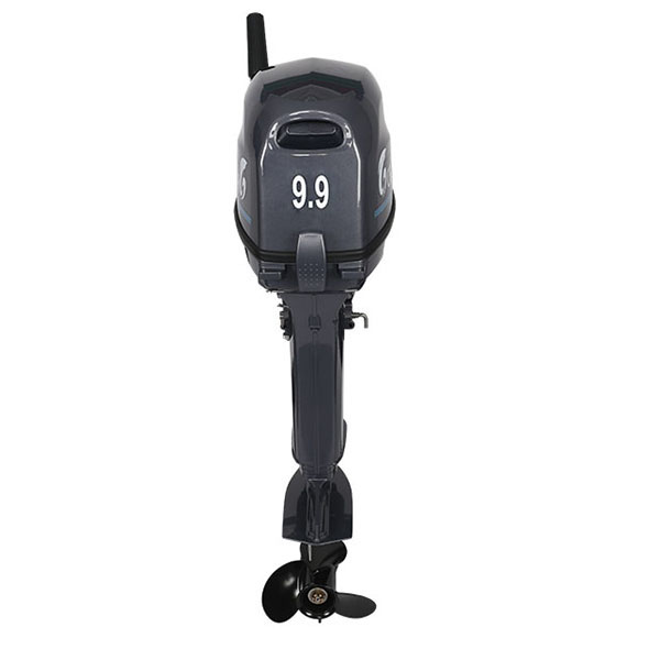 Лодочный мотор ALLFA CG Т9.9(20)MAX в Пскове