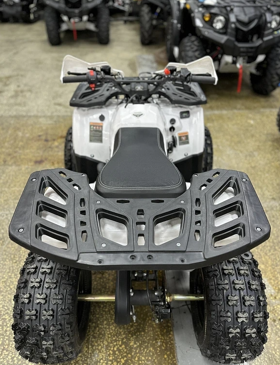 Квадроцикл PROMAX WILD 2.0 190 в Пскове