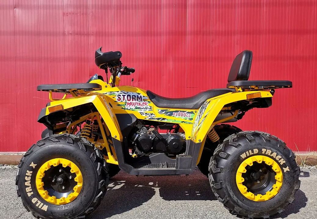 Квадроцикл PROMAX STORM 280 LUX в Пскове