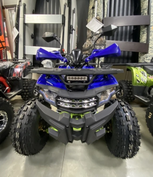 Квадроцикл PROMAX WILD 2.0 190 PRO (2025) в Пскове