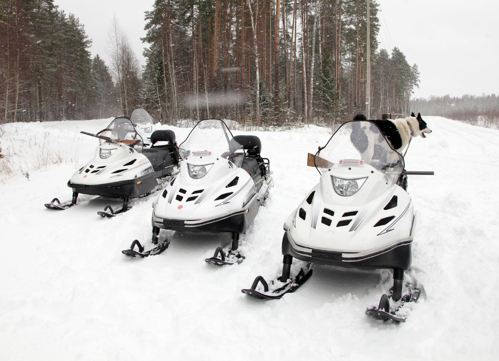 СНЕГОХОД РМ ТАЙГА ВАРЯГ 550 V в Пскове