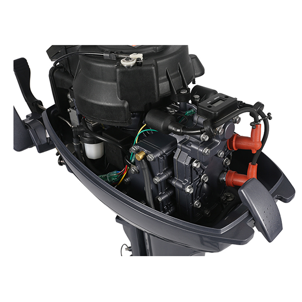 ЛОДОЧНЫЙ МОТОР ALLFA CG Т9,9 в Пскове