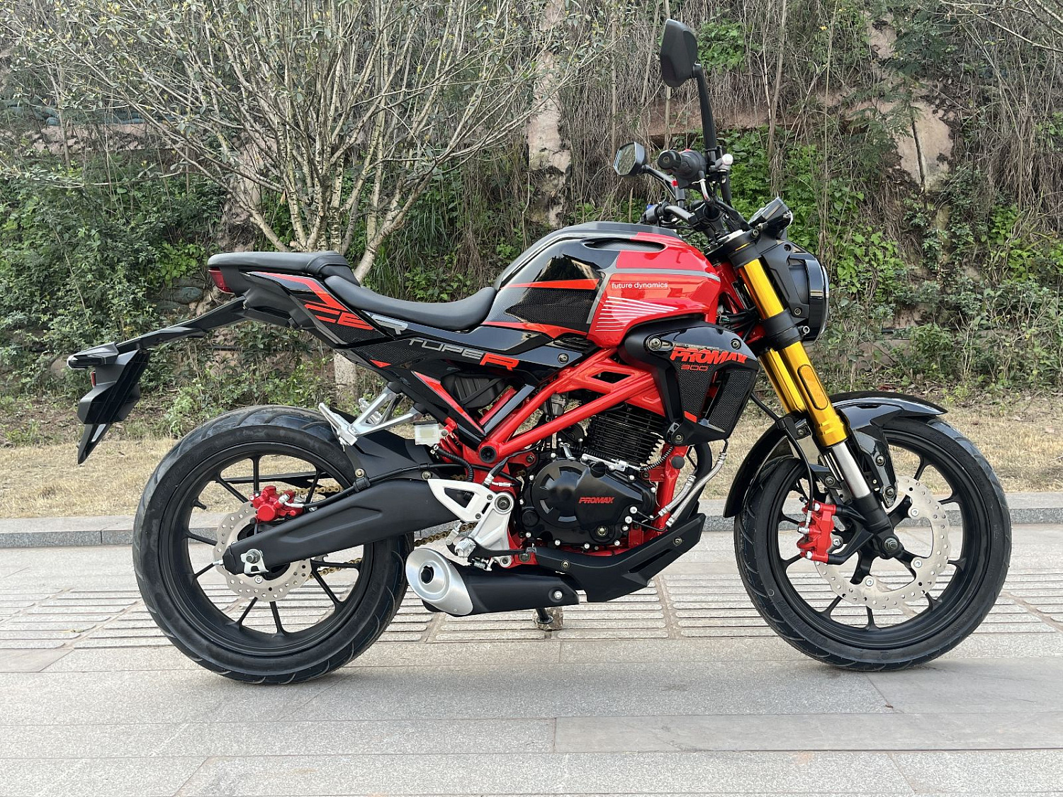 Мотоцикл PROMAX CB300 в Пскове