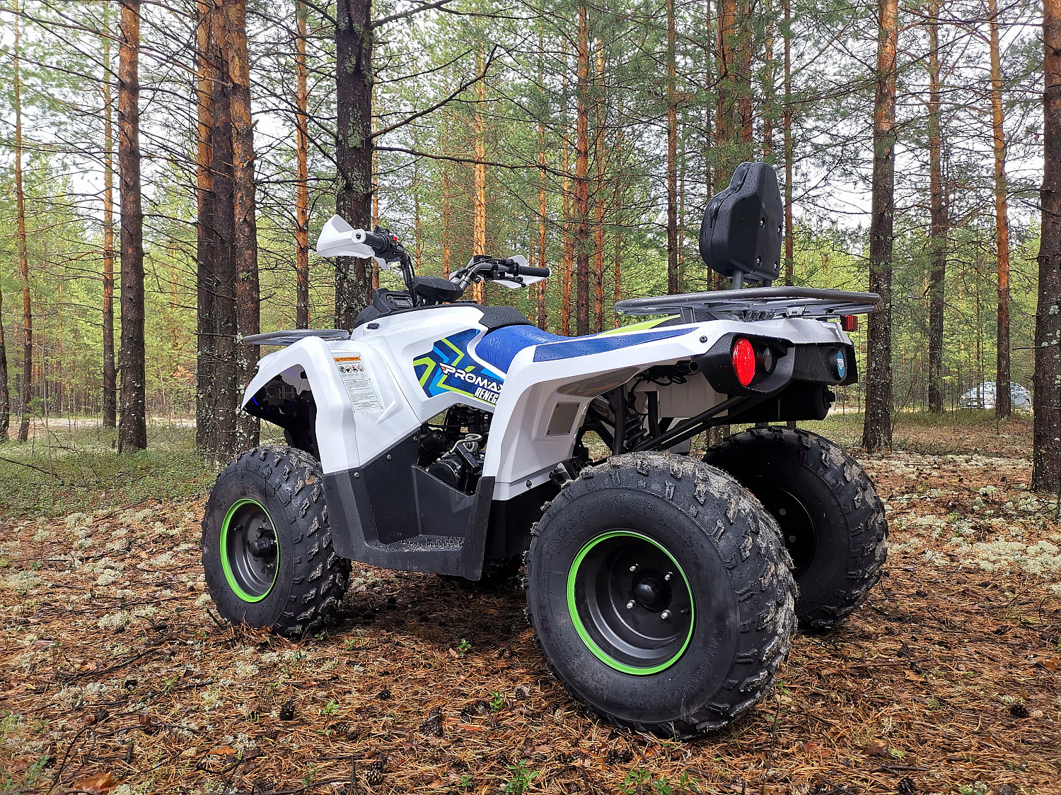 Квадроцикл PROMAX RENEGADE 280 (2025) в Пскове