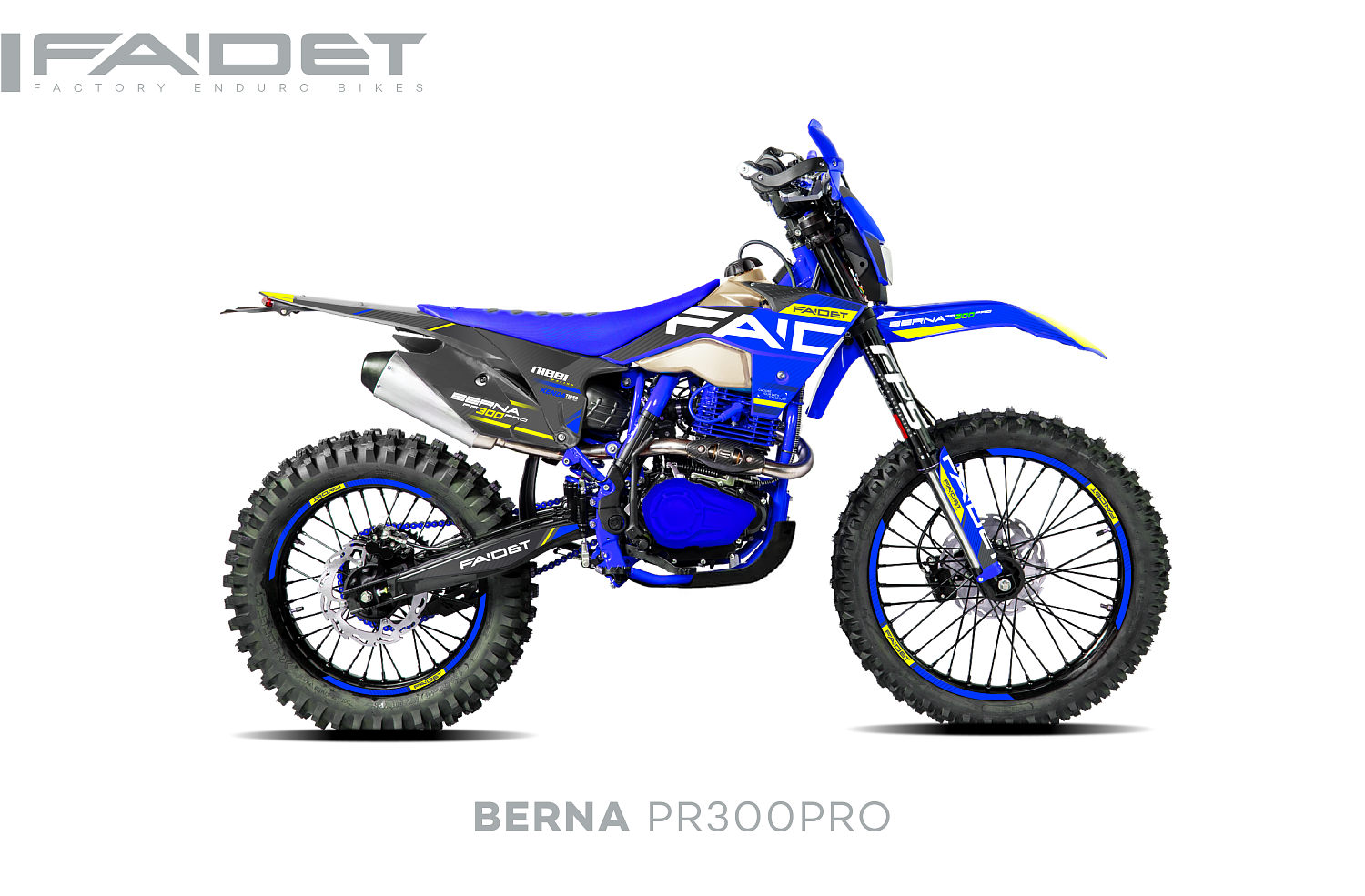 Кроссовый мотоцикл FAIDET BERNA PR300-PRO FPS в Пскове