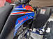 Квадроцикл PROMAX RAPTOR 300 NEW RedBull в Пскове