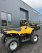 КВАДРОЦИКЛ IRBIS ATV 250  в Пскове