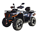 Квадроцикл MOTOLAND (МОТОЛЕНД) 300 MAX X в Пскове