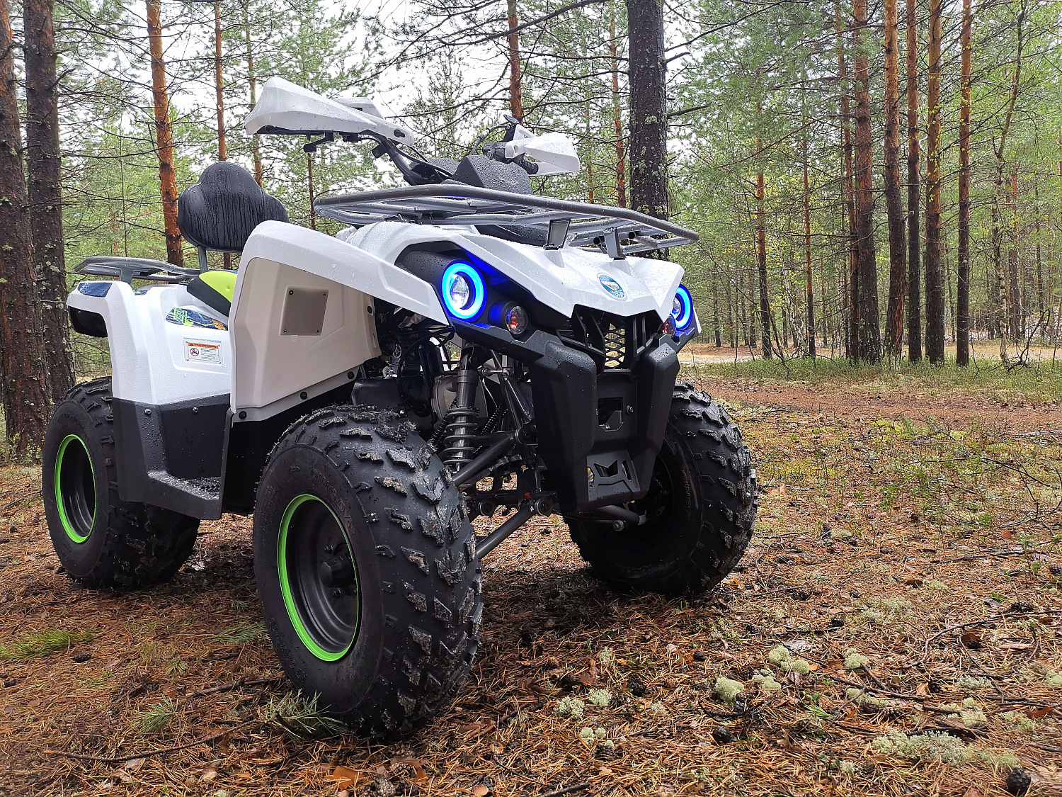 Квадроцикл PROMAX RENEGADE 280 (2025) в Пскове
