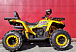 Квадроцикл PROMAX STORM 280 LUX в Пскове