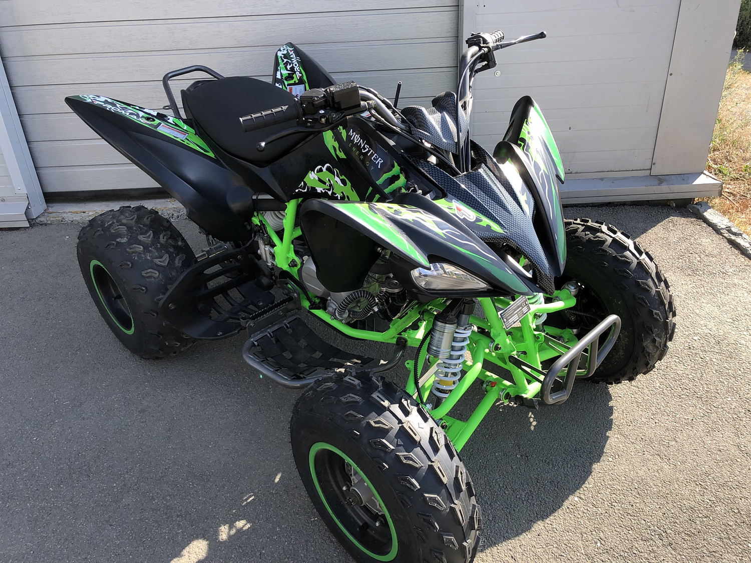 Квадроцикл PROMAX RAPTOR 300 NEW Monster в Пскове