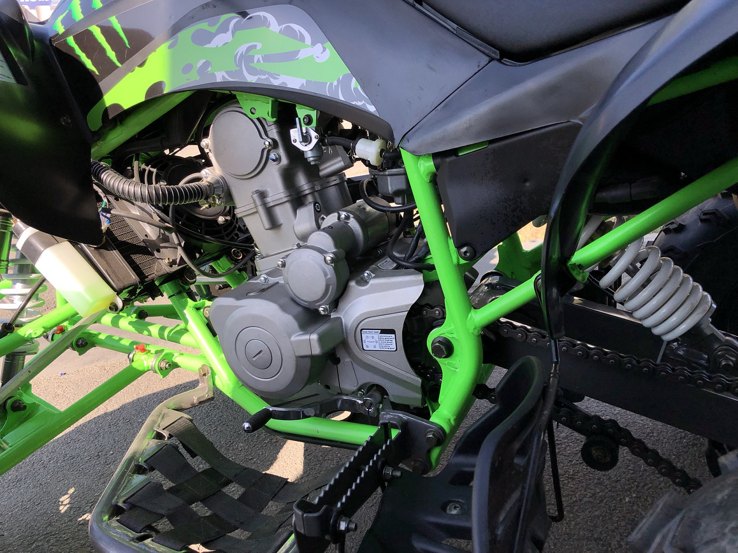 Квадроцикл PROMAX RAPTOR 300 NEW Monster в Пскове