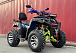  Квадроцикл PROMAX ATV 250 MAX (2025) в Пскове