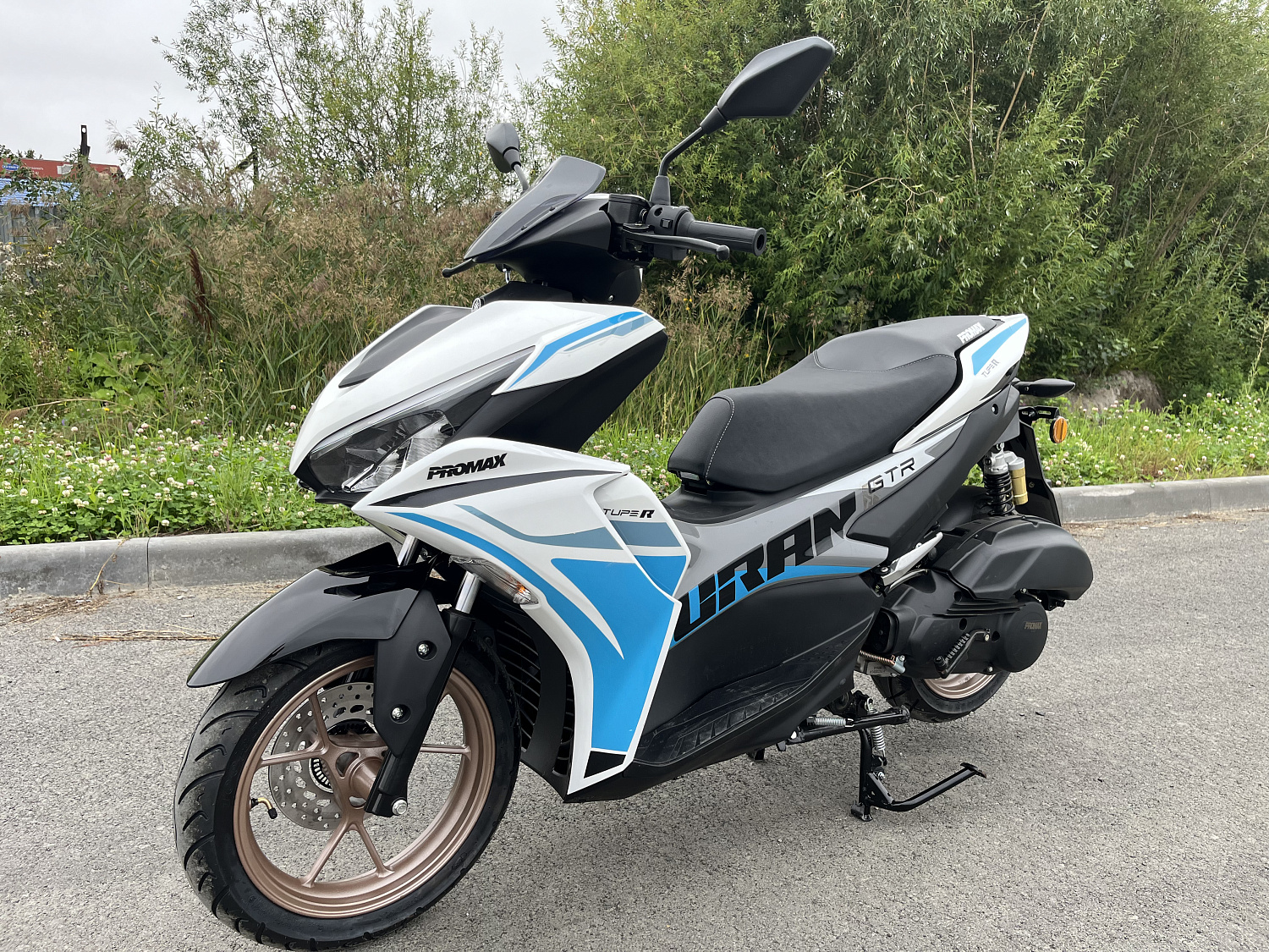 Скутер PROMAX TURAN 250 (49) в Пскове