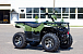 Квадроцикл IRBIS ATV 200 LUX (+лебедка) в Пскове