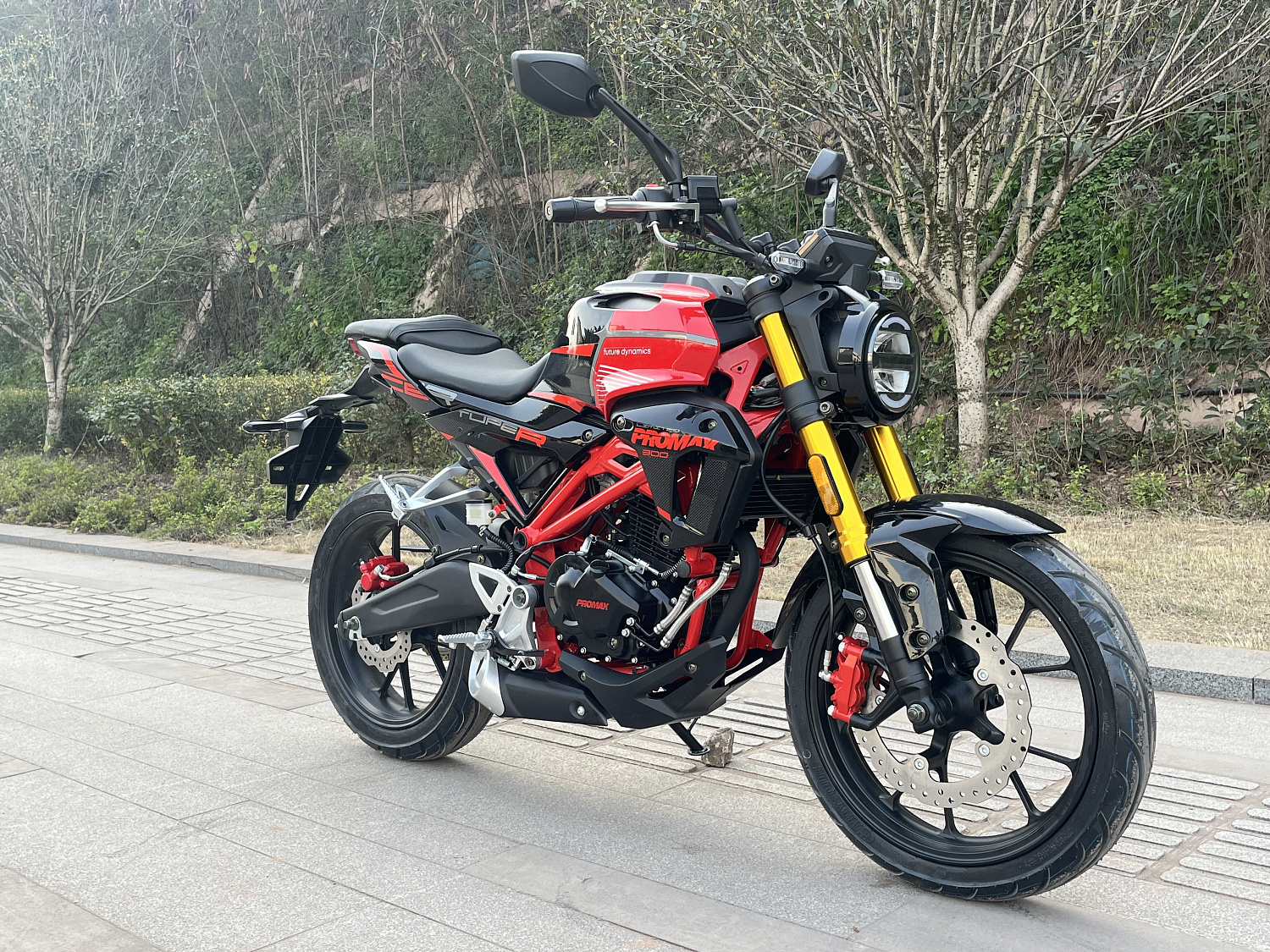 Мотоцикл PROMAX CB300 в Пскове