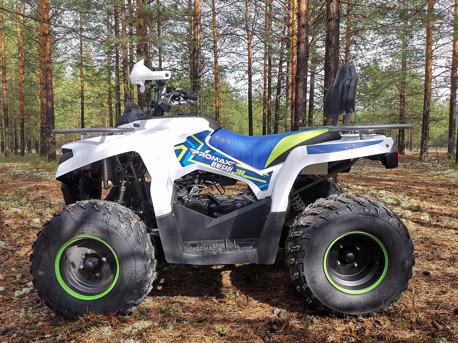 Квадроцикл PROMAX RENEGADE 280 (2025) в Пскове