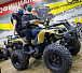 Квадроцикл PROMAX ATV 250 (2025) в Пскове
