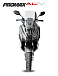 МаксиСкутер PROMAX-HONDA ADV 150 (49) (Inspired by HONDA) в Пскове