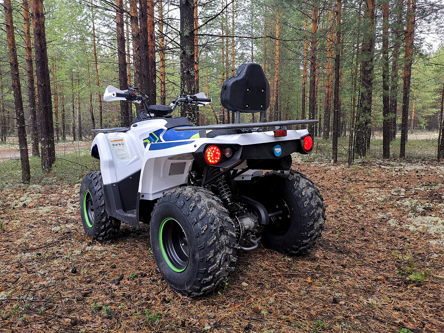 Квадроцикл PROMAX RENEGADE 280 (2025) в Пскове