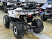 Квадроцикл PROMAX WILD 2.0 190 LUX в Пскове
