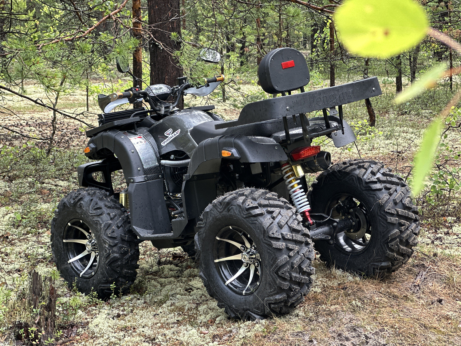 Квадроцикл PROMAX 320 DOMINATOR (2025) в Пскове