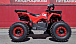 Квадроцикл PROMAX WILD 175 BASIC в Пскове
