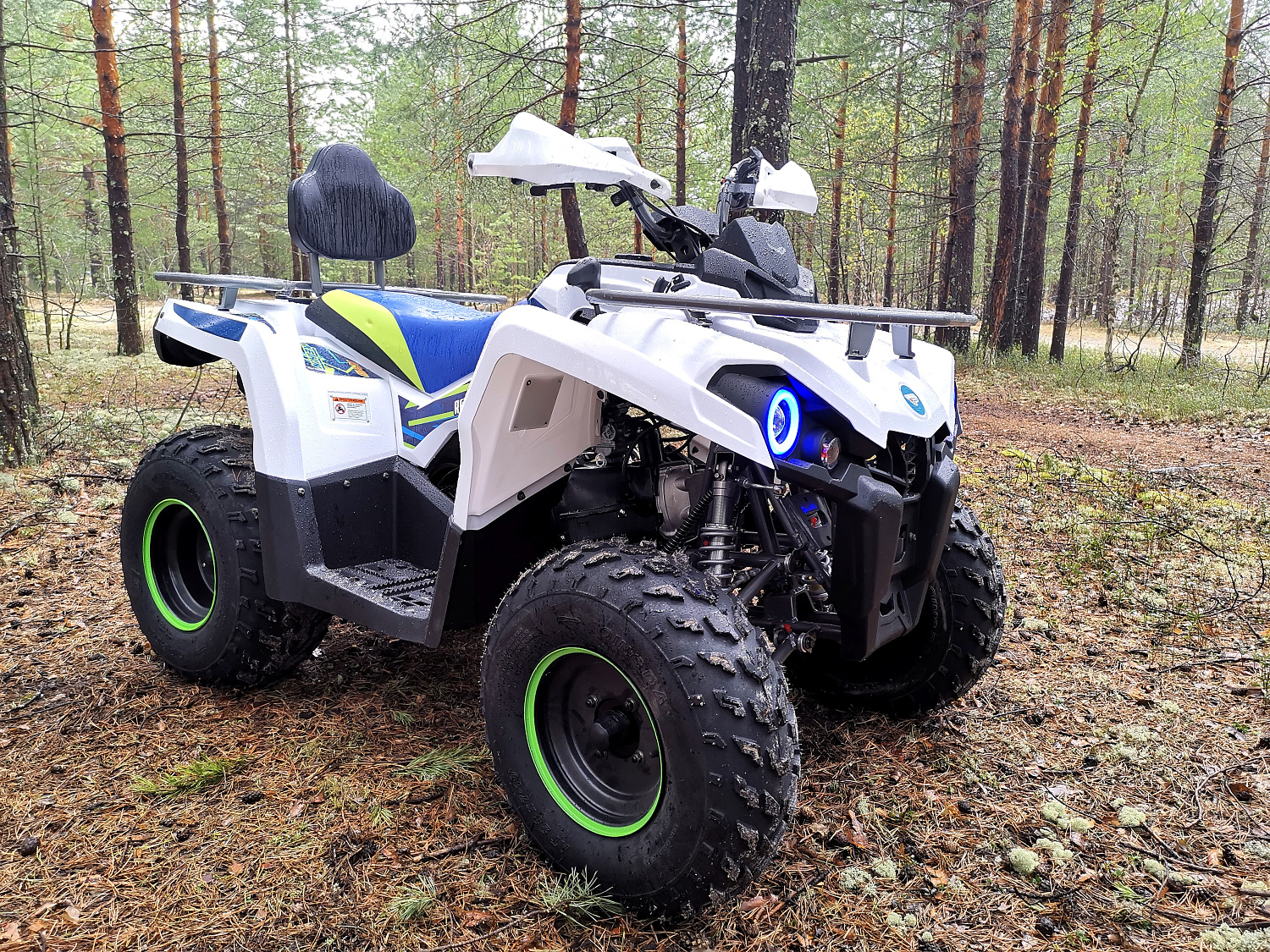 Квадроцикл PROMAX RENEGADE 280 (2025) в Пскове