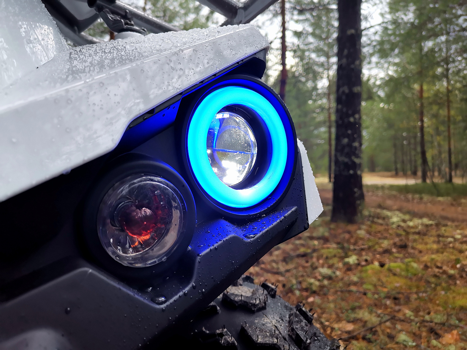 Квадроцикл PROMAX RENEGADE 280 (2025) в Пскове