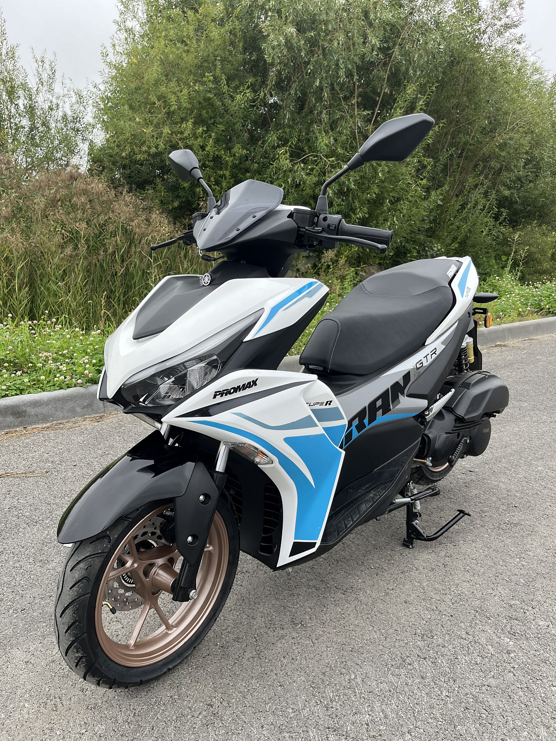 Скутер PROMAX TURAN 250 (49) в Пскове