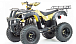 Квадроцикл MOTOLAND (МОТОЛЕНД) 250 ADVENTURE в Пскове