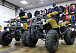Квадроцикл PROMAX ATV 250 (2025) в Пскове